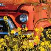 Red Truck by Chuck Haney - Image 3