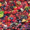 Berries, Berries, Berries by Steve Smith - Image 2