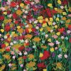 Flower Blast by Allan Friedlander - Image 3