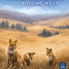 Cascadia: Rolling Hills (stand alone) - Image 2