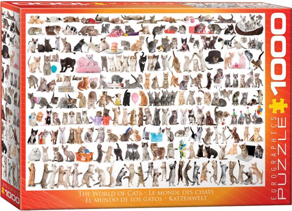 The World of Cats - Image 2