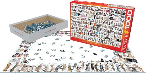 The World of Cats - Image 5
