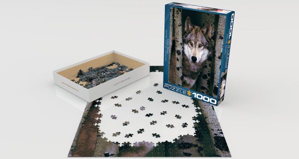 Gray Wolf - Image 2
