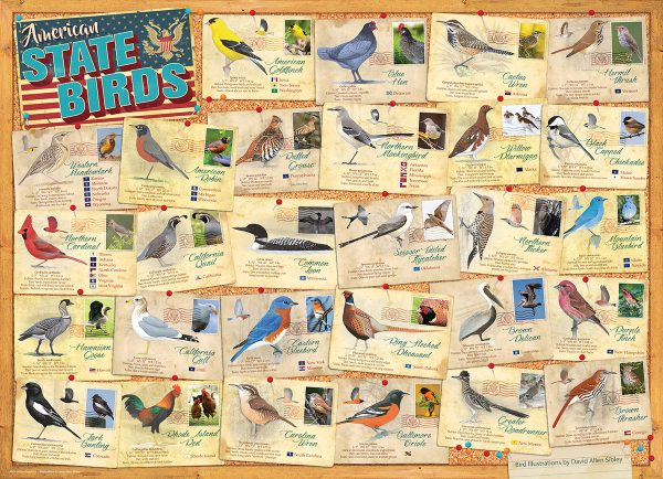 State Birds - Image 2