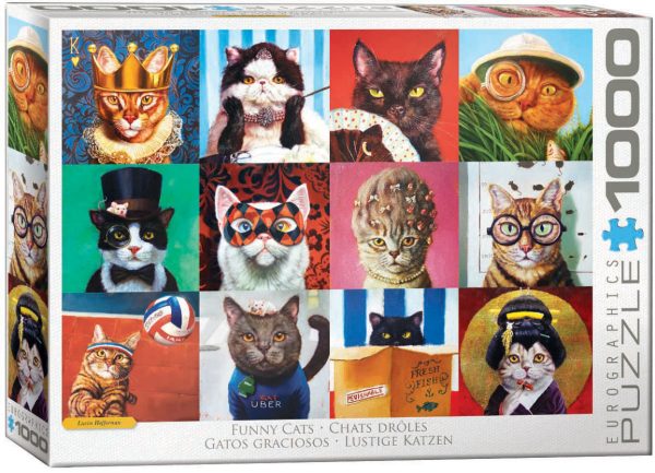 Funny Cats