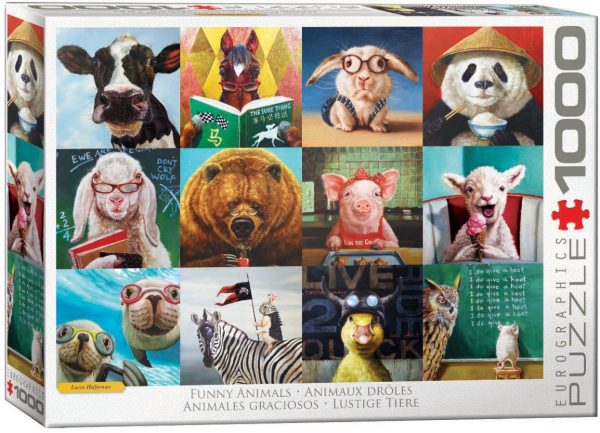 Funny Animals