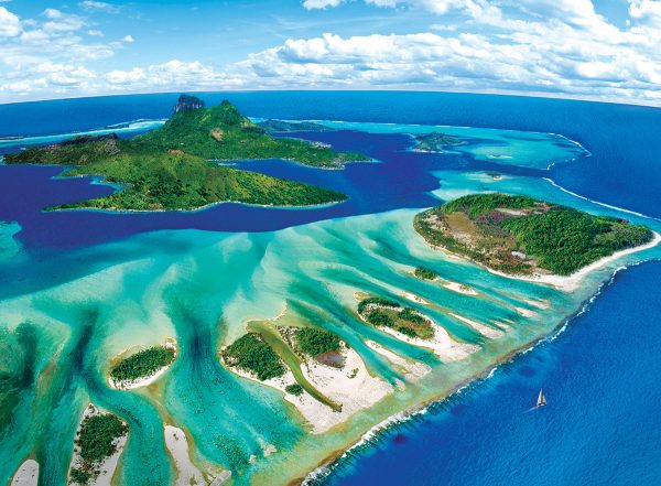 Coral Reef - Image 2
