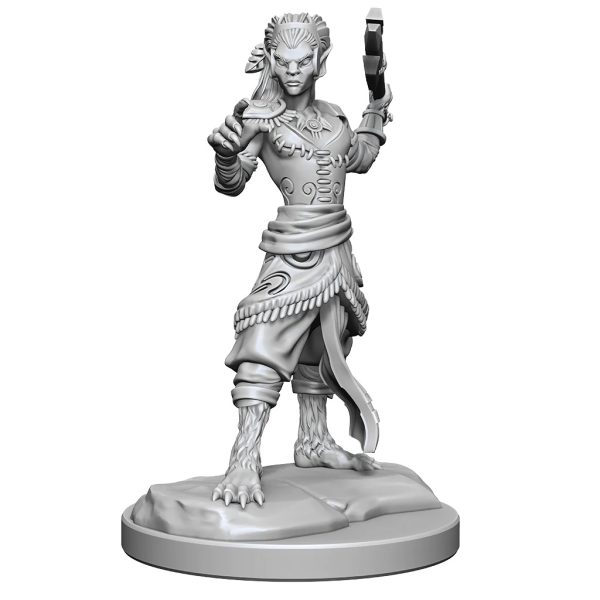 Dungeons & Dragons&colon; Nolzur&apos;s Marvelous Unpainted Miniatures - W20 Shifter Fighter