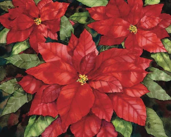 Poinsettia by Kathleen Parr Mckenna - Image 2