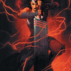 ABSOLUTE WONDER WOMAN #13 CVR C DAVID TALASKI CARD STOCK VAR