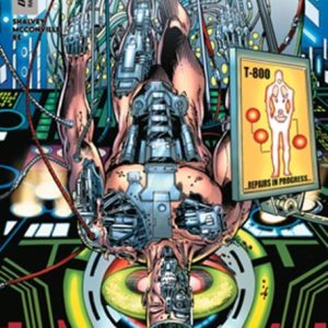 TERMINATOR METAL #1 CVR B BOB LAYTON VAR