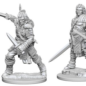 Pathfinder Deep Cuts Unpainted Miniatures: W01 Human Male Fighter