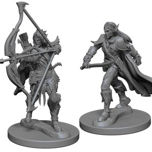 Pathfinder Deep Cuts Unpainted Miniatures: W01 Elf Male Fighter