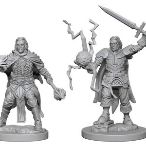 Pathfinder Deep Cuts Unpainted Miniatures: W01 Human Male Cleric