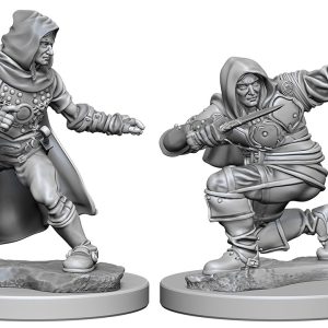 Pathfinder Deep Cuts Unpainted Miniatures: W01 Human Male Rogue