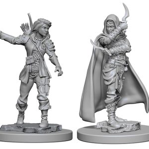Pathfinder Deep Cuts Unpainted Miniatures: W01 Human Female Rogue