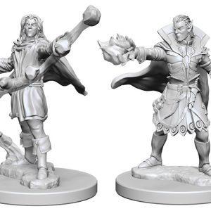 Pathfinder Deep Cuts Unpainted Miniatures: W01 Elf Male Sorcerer