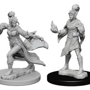 Pathfinder Deep Cuts Unpainted Miniatures: W01 Elf Female Sorcerer