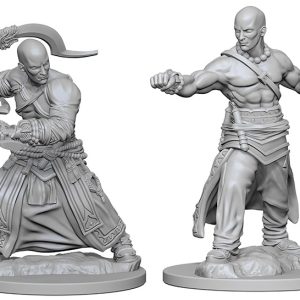 Pathfinder Deep Cuts Unpainted Miniatures: W01 Human Male Monk