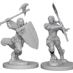 Pathfinder Deep Cuts Unpainted Miniatures: W01 Half-Orc Female Barbarian