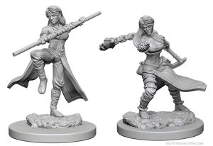 Dungeons & Dragons: Nolzur's Marvelous Unpainted Miniatures - W01 Human Female Monk