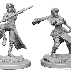 Dungeons & Dragons: Nolzur's Marvelous Unpainted Miniatures - W01 Human Female Monk