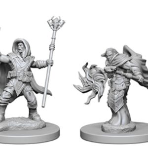 Dungeons & Dragons: Nolzur's Marvelous Unpainted Miniatures - W02 Elf Male Wizard