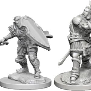 Dungeons & Dragons Nolzur`s Marvelous Unpainted Miniatures: W3 Human Male Paladin