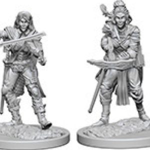 Pathfinder Deep Cuts Unpainted Miniatures: W04 Elf Female Bard