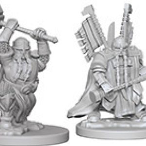 Dungeons & Dragons: Nolzur's Marvelous Unpainted Miniatures - W04 Dwarf Male Paladin