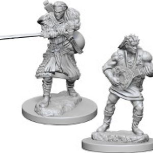 Dungeons & Dragons: Nolzur's Marvelous Unpainted Miniatures - W04 Human Male Bard