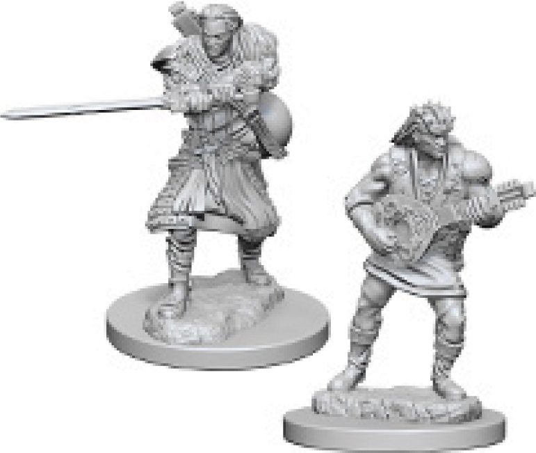 Dungeons & Dragons: Nolzur's Marvelous Unpainted Miniatures - W04 Human Male Bard