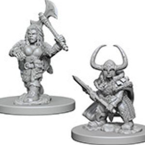 Dungeons & Dragons: Nolzur's Marvelous Unpainted Miniatures - W04 Dwarf Female Barbarian