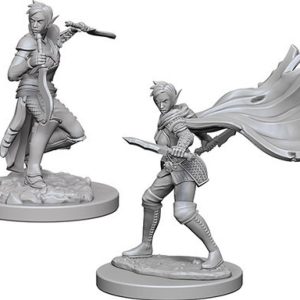 Pathfinder Deep Cuts Unpainted Miniatures: W04 Elf Female Rogue