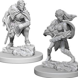 Dungeons & Dragons: Nolzur's Marvelous Unpainted Miniatures - W04 Drow