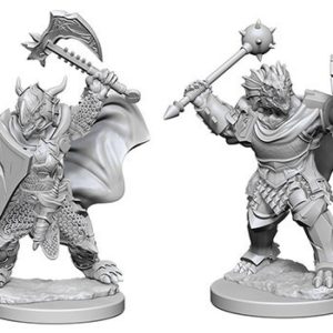 Dungeons & Dragons: Nolzur's Marvelous Unpainted Miniatures - W04 Dragonborn Male Paladin