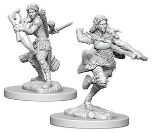 Dungeons & Dragons&colon; Nolzur&apos;s Marvelous Unpainted Miniatures - W04 Air Genasi Female Rogue
