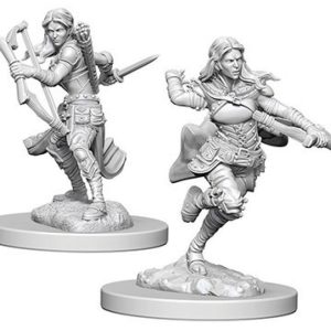 Dungeons & Dragons: Nolzur's Marvelous Unpainted Miniatures - W04 Air Genasi Female Rogue