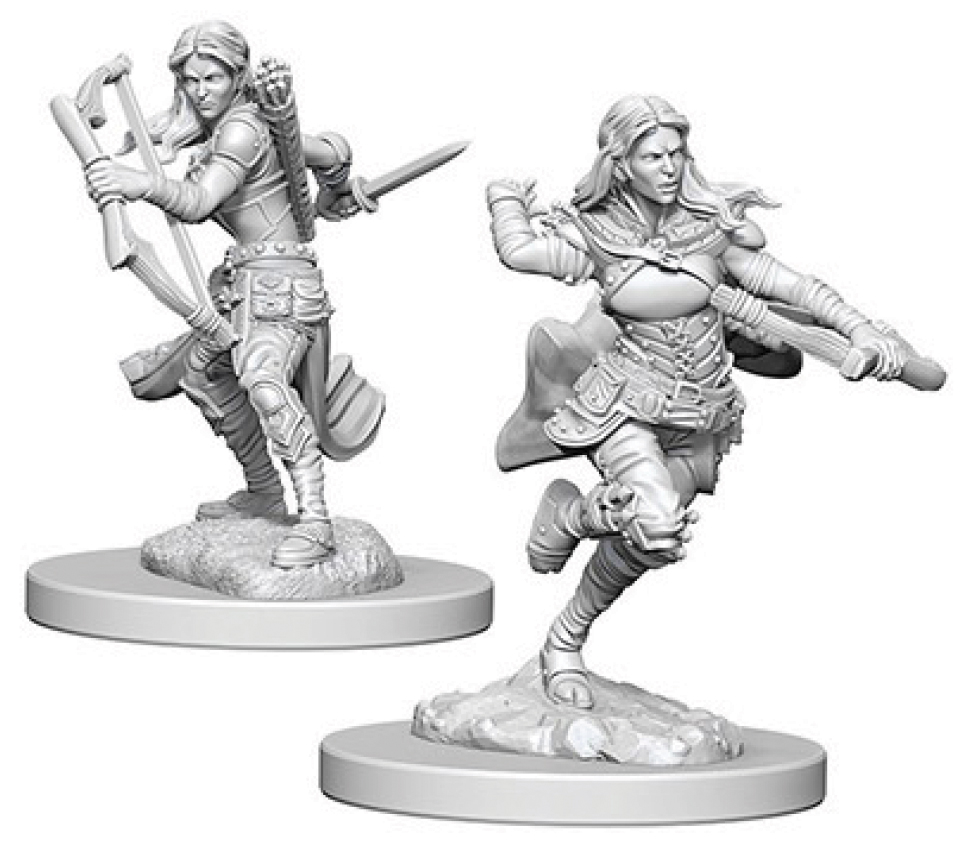 Dungeons & Dragons: Nolzur's Marvelous Unpainted Miniatures - W04 Air Genasi Female Rogue