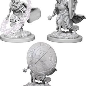 Dungeons & Dragons: Nolzur's Marvelous Unpainted Miniatures - W05 Elf Male Cleric