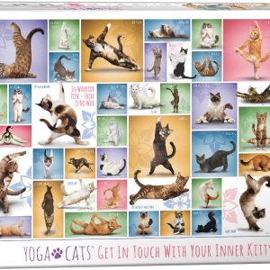 Yoga Cats