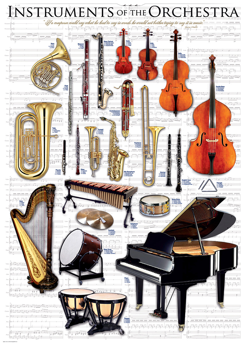Instruments of the Orchestra - Image 3