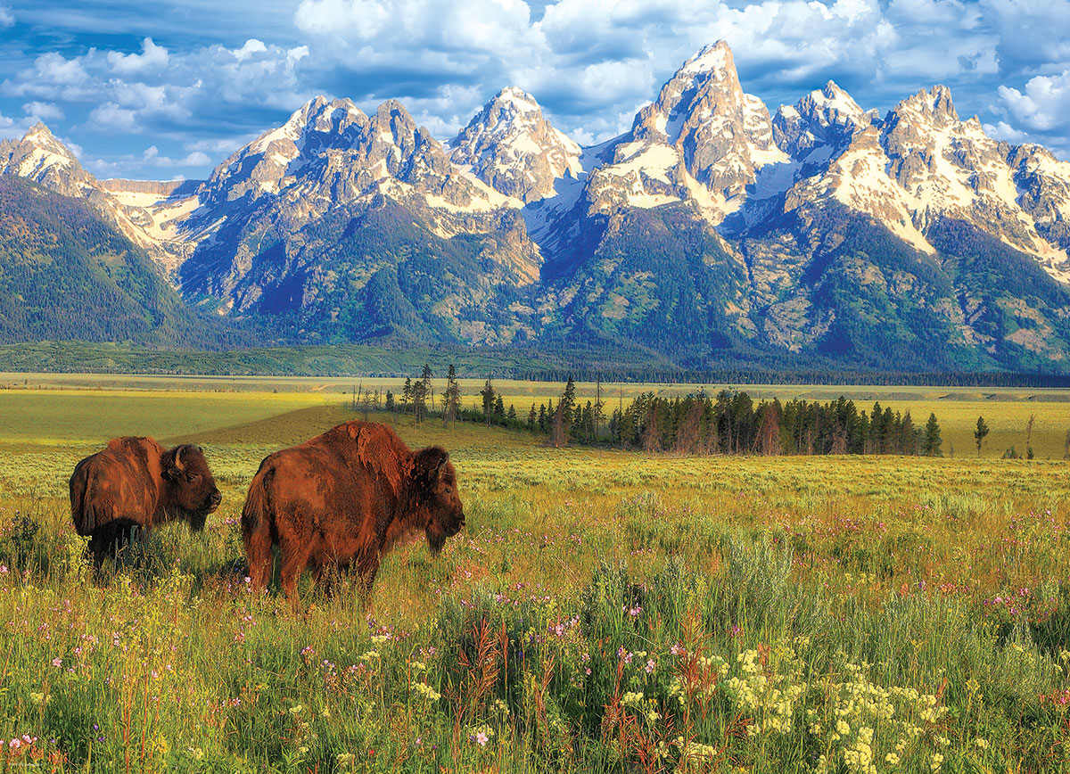 Grand Teton National Park - Image 3