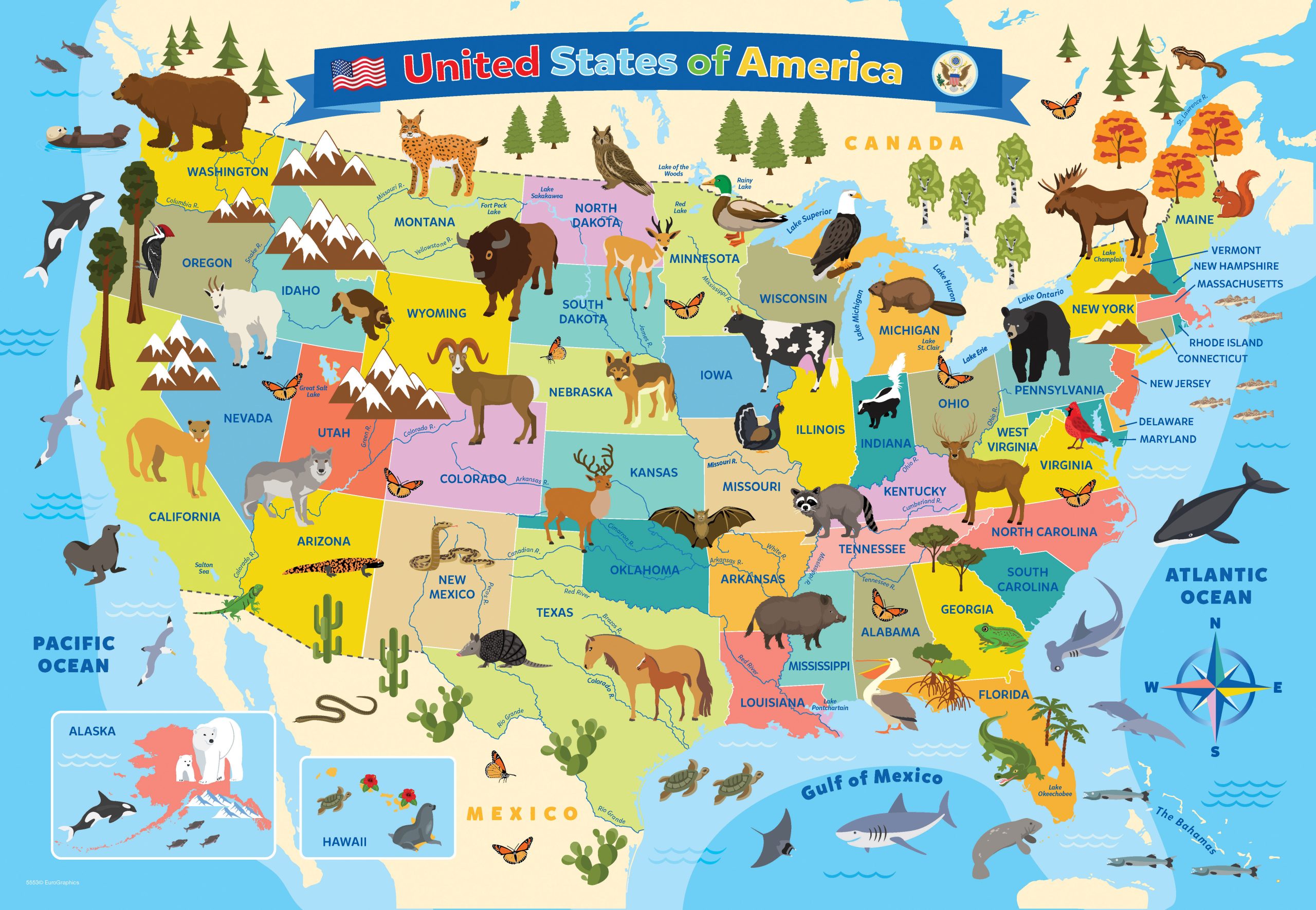 Map of the United States of America - Image 2