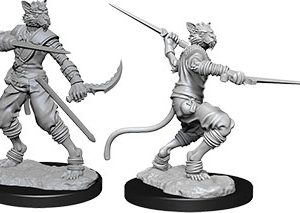 Dungeons & Dragons: Nolzur's Marvelous Unpainted Miniatures - W07 Tabaxi Male Rogue