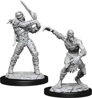 Dungeons & Dragons: Nolzur's Marvelous Unpainted Miniatures - W11 Wight & Ghast