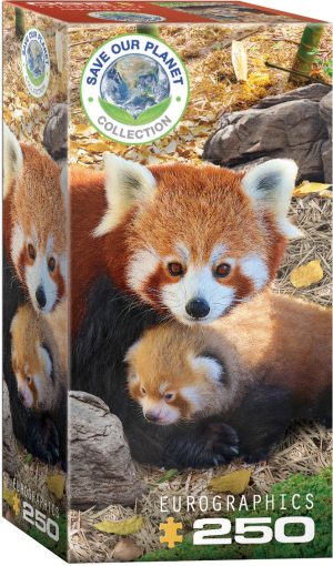 Red Pandas