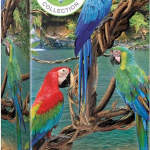 Macaws