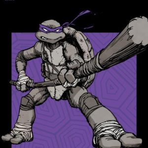 Teenage Mutant Ninja Turtles (2024) #4 Variant E (Burnham)