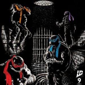 Teenage Mutant Ninja Turtles #9 Variant C (Ferreyra)